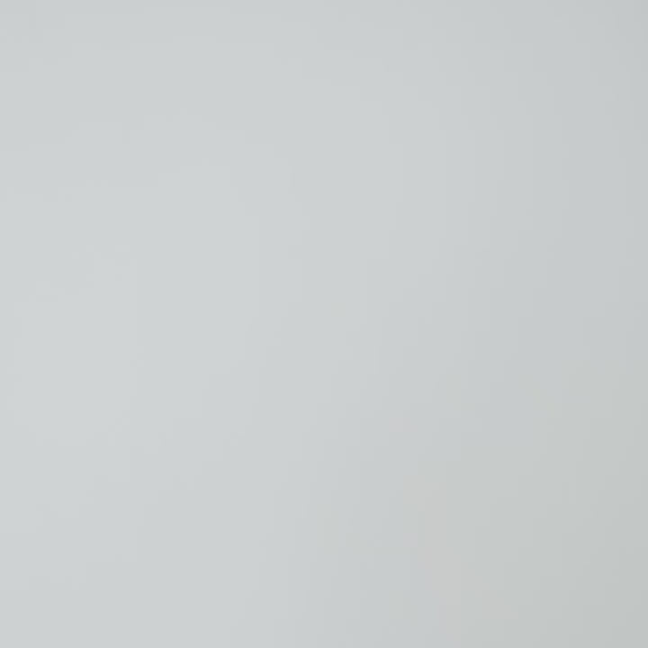 Bostanten Famous 3 in 1 MOON BAG - BEST SELLER!